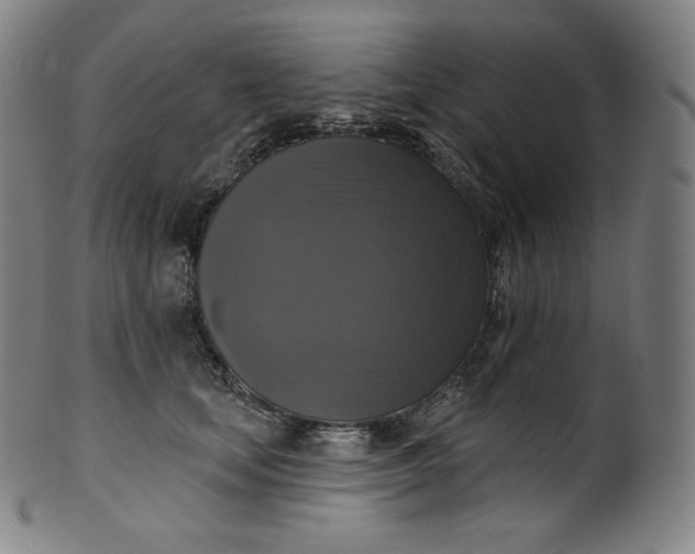 X0000099950659200806061543