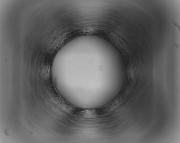 X0000099950660200806061543