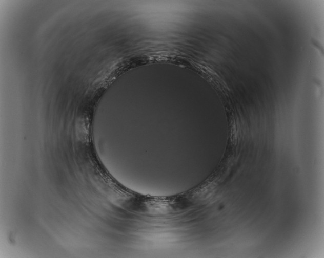 X0000099950661200806061543