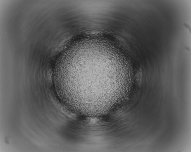 X0000099950662200806061543