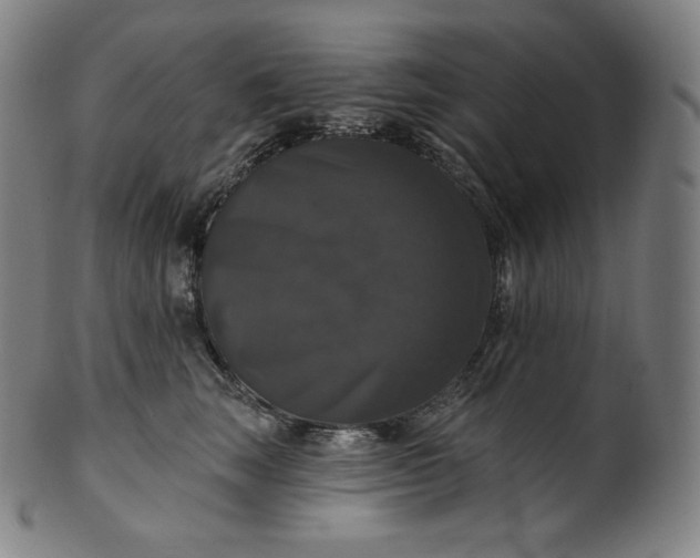 X0000099950663200806061543