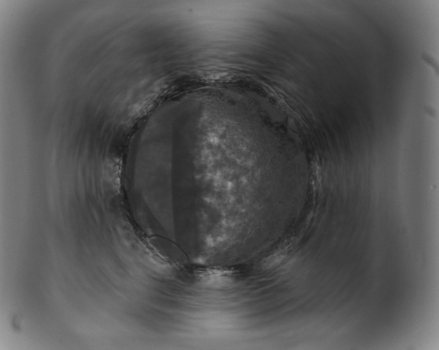 X0000099950664200806061543