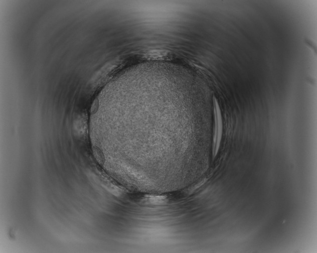 X0000099950665200806061543