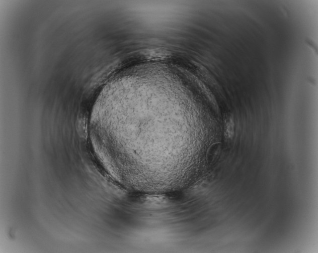 X0000099950666200806061543