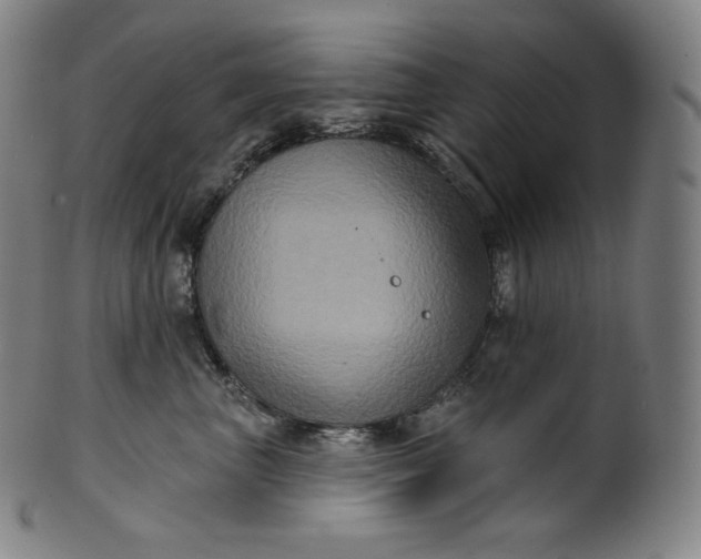 X0000099950667200806061543