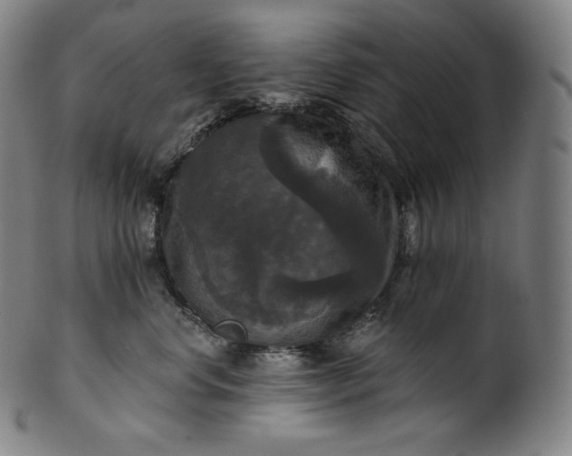 X0000099950668200806061543