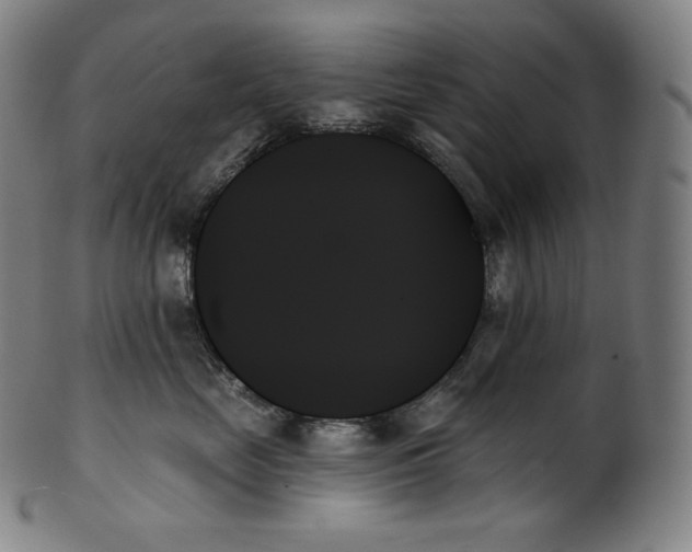 X0000099950669200806061543