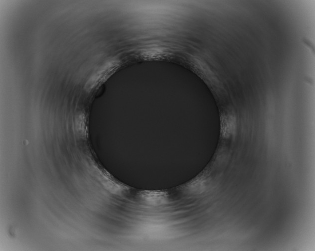 X0000099950670200806061543