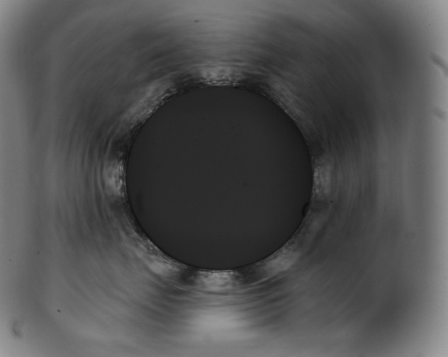 X0000099950671200806061543