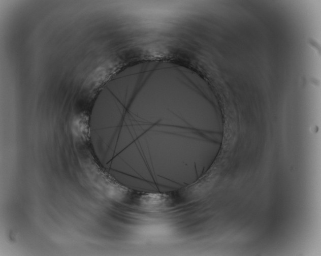 X0000099950672200806061543