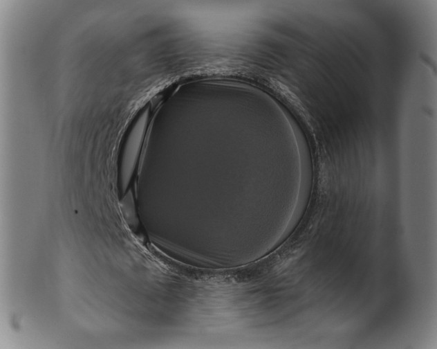 X0000099950673200806061543