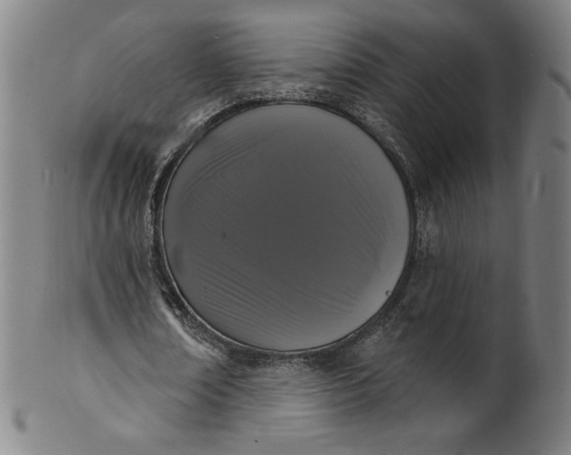 X0000099950674200806061543