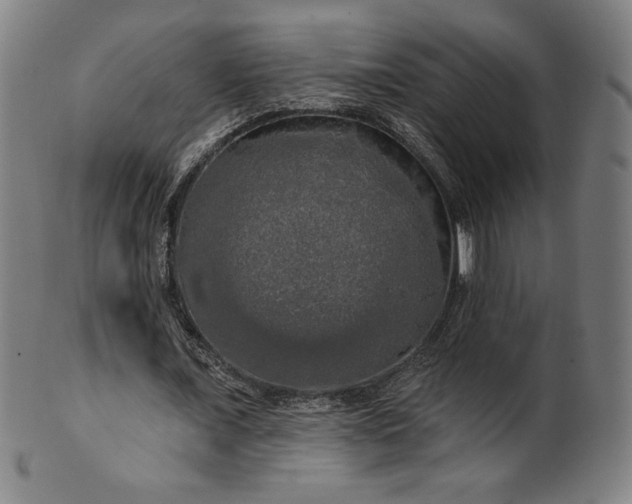 X0000099950675200806061543