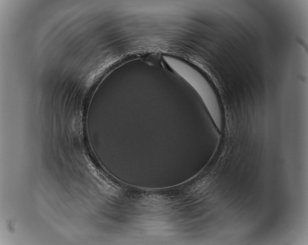 X0000099950677200806061543