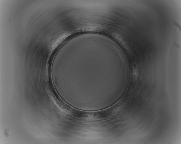 X0000099950678200806061543