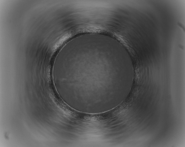 X0000099950679200806061543