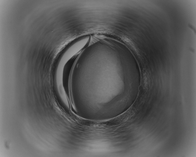 X0000099950680200806061543