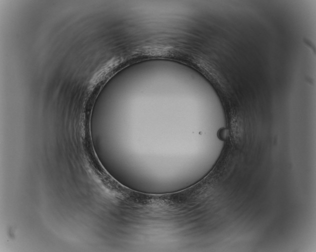 X0000099950682200806061543