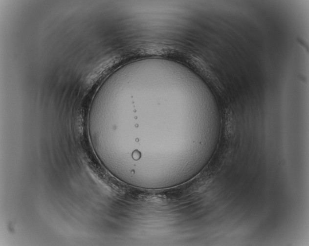 X0000099950683200806061543