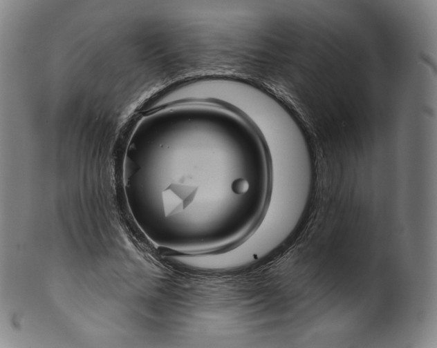 X0000099950684200806061543