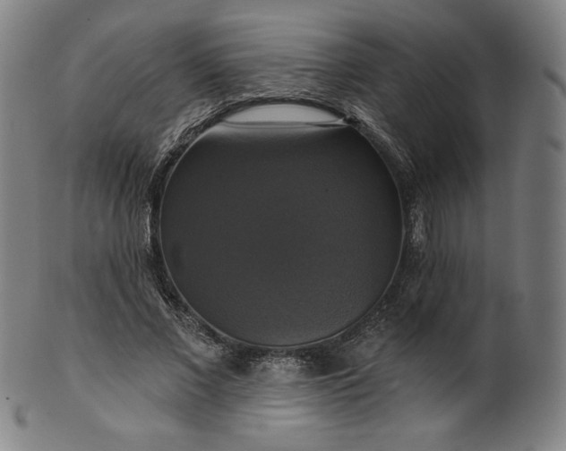 X0000099950685200806061543