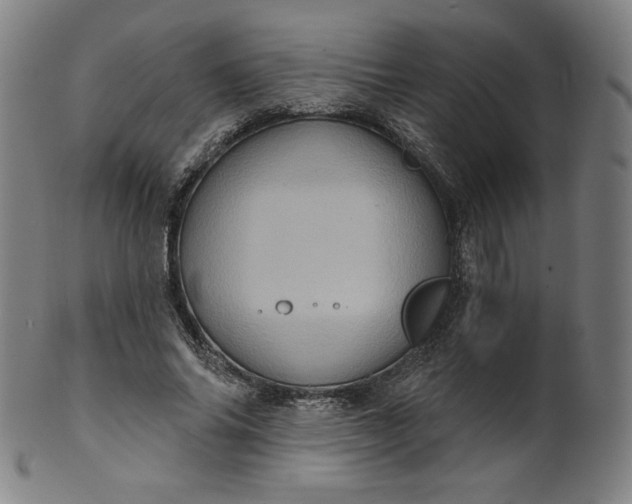 X0000099950686200806061543