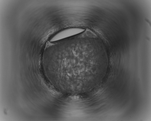 X0000099950687200806061543