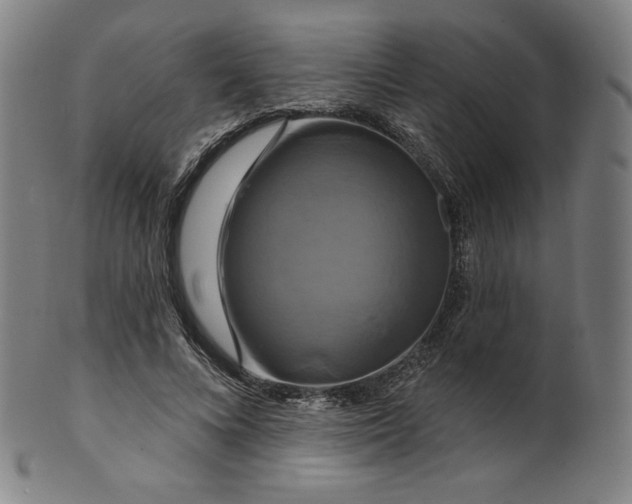 X0000099950688200806061543