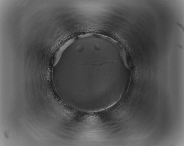 X0000099950689200806061542