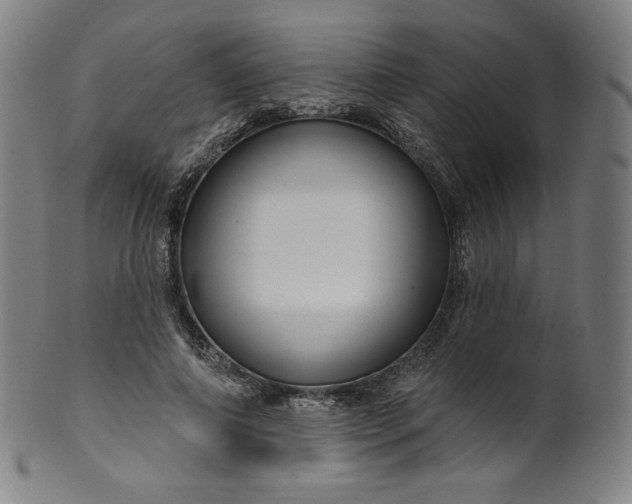 X0000099950690200806061542