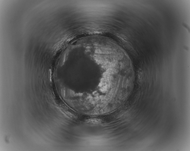 X0000099950691200806061542