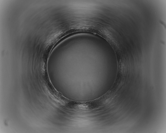 X0000099950692200806061542