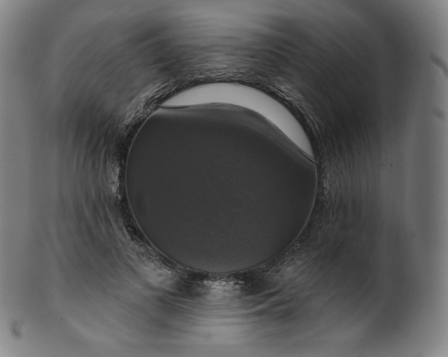 X0000099950693200806061542