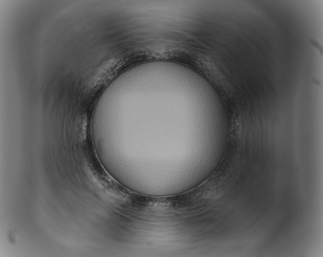 X0000099950694200806061542