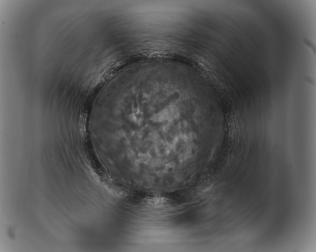 X0000099950695200806061542