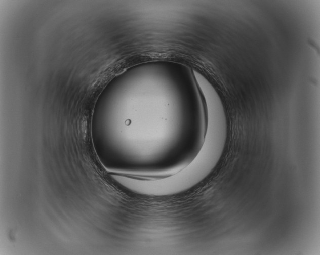 X0000099950697200806061542