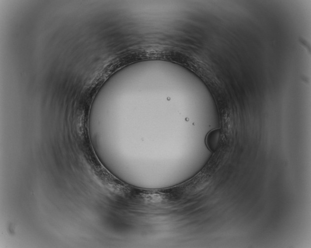 X0000099950698200806061542