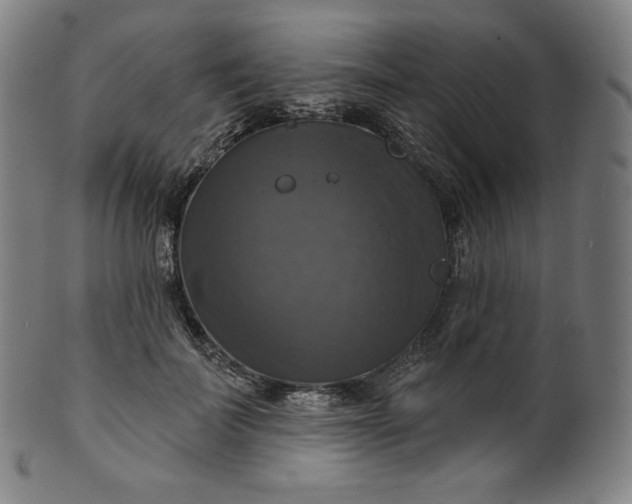 X0000099950699200806061542