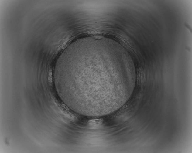 X0000099950700200806061542