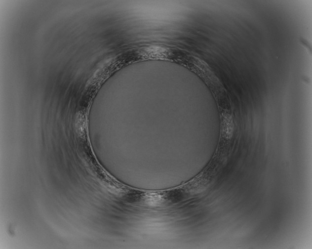 X0000099950701200806061542