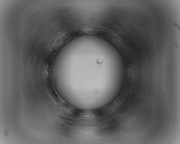 X0000099950702200806061542