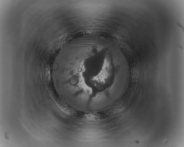 X0000099950703200806061542