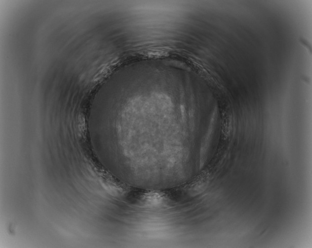 X0000099950704200806061542