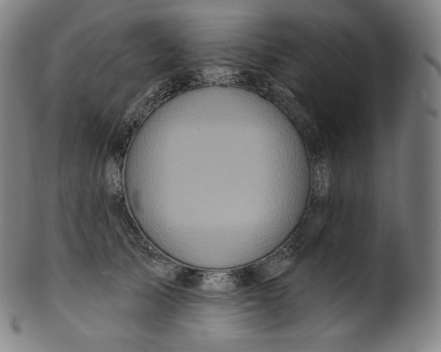 X0000099950705200806061542