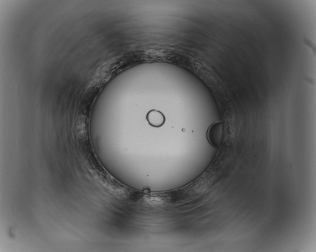 X0000099950706200806061542