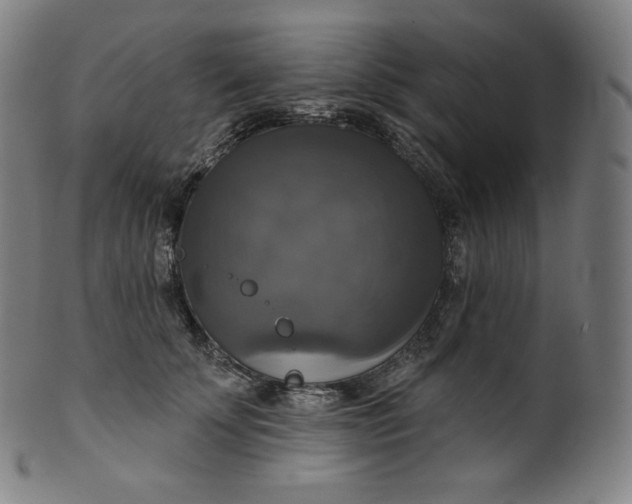 X0000099950707200806061542