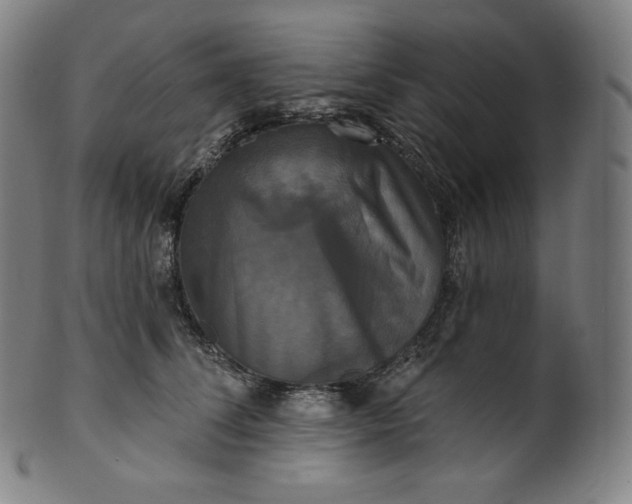 X0000099950708200806061542