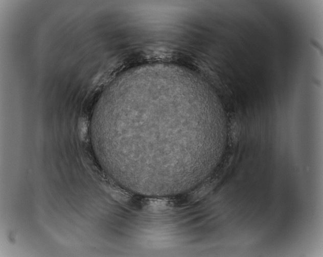 X0000099950709200806061542