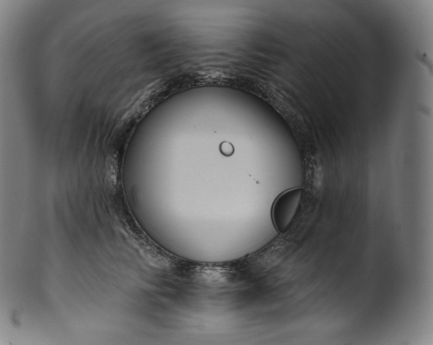 X0000099950710200806061542