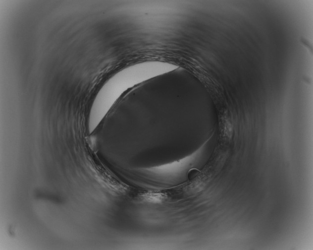 X0000099950711200806061542